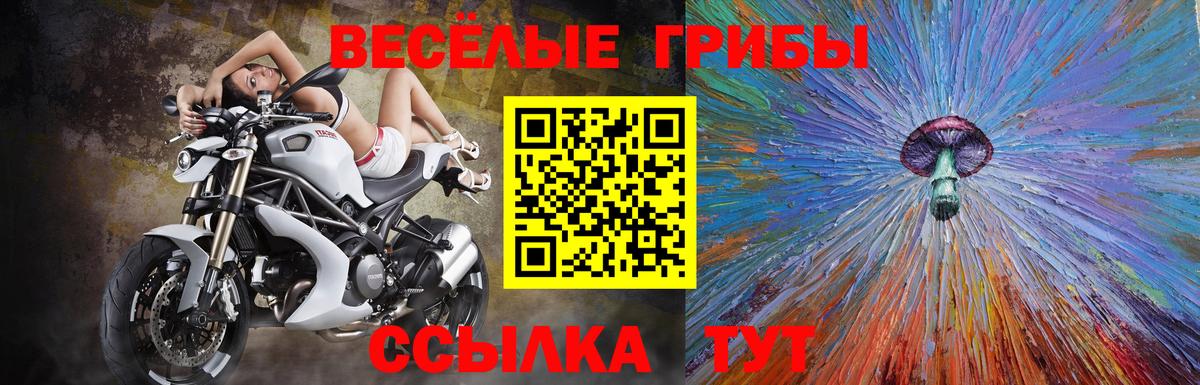 Галлюциногенные грибы мицелий Рыбинск